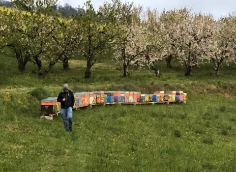 Agriazienda Bocca | l'apicoltore